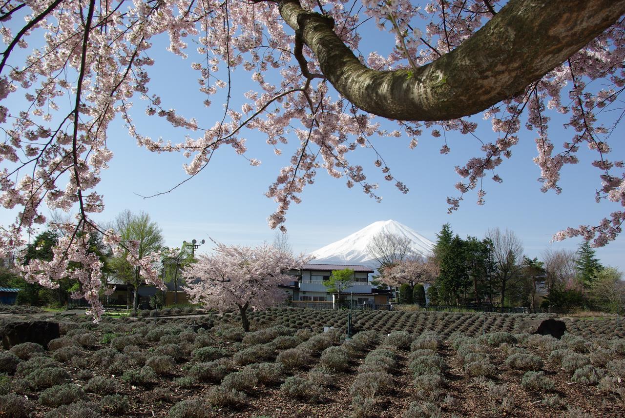Togawaso Otel Fujikawaguchiko Dış mekan fotoğraf