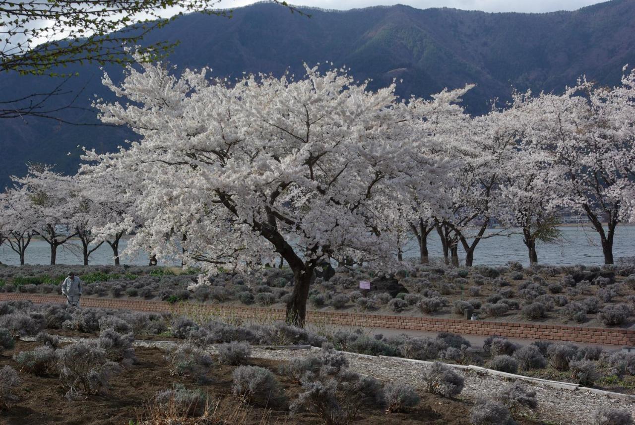 Togawaso Otel Fujikawaguchiko Dış mekan fotoğraf
